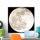 full moon Wall Mural