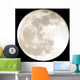 full moon Wall Mural