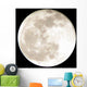 full moon Wall Mural
