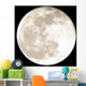 full moon Wall Mural