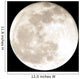 full moon Wall Mural