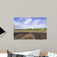 Countryside Wall Mural
