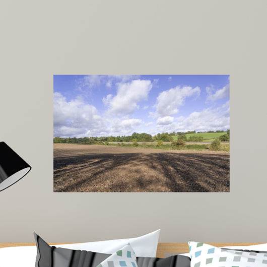 Countryside Wall Mural
