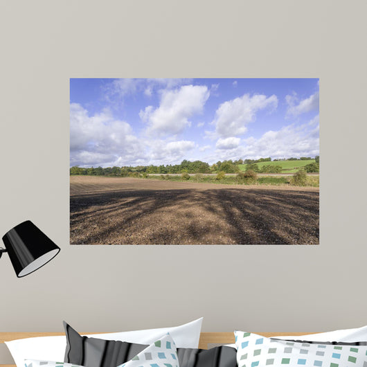Countryside Wall Mural