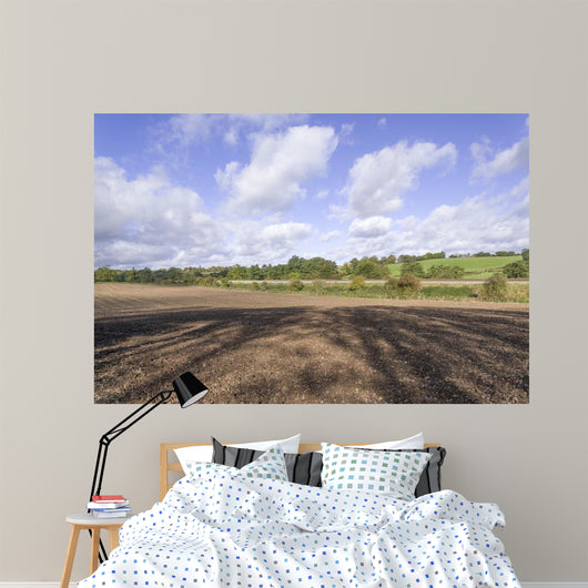 Countryside Wall Mural