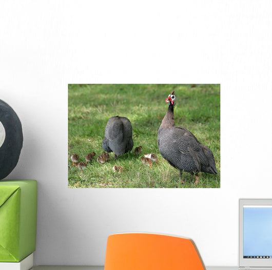 Guineafowl Hens Wall Mural