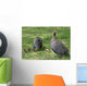 Guineafowl Hens Wall Mural