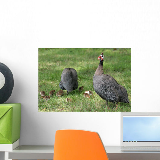 Guineafowl Hens Wall Mural