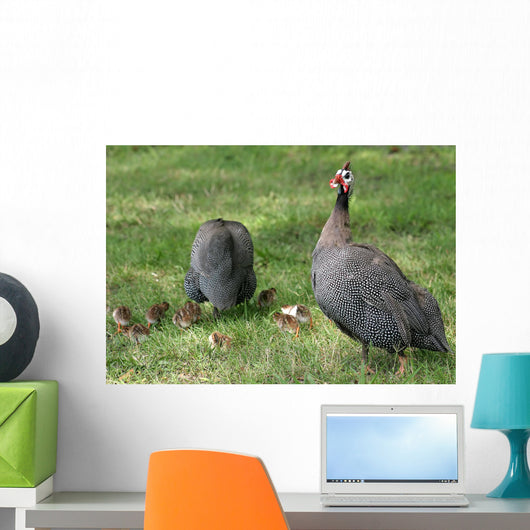 Guineafowl Hens Wall Mural