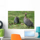 Guineafowl Hens Wall Mural