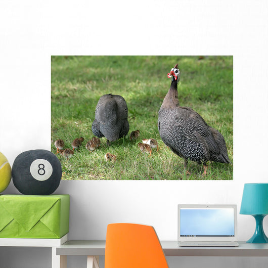 Guineafowl Hens Wall Mural