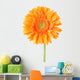 Orange Gerbera Daisy Flower