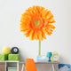 Orange Gerbera Daisy Flower