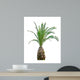 Cycads