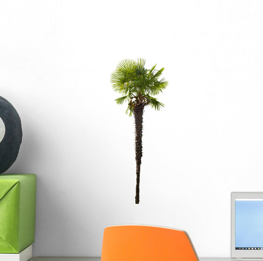 high isolated palm tree Wall Decal