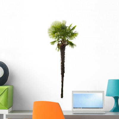 High Palm Tree Wall Decal shown on a wall