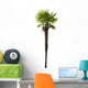 high isolated palm tree Wall Decal