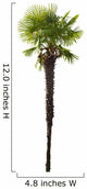 high isolated palm tree Wall Decal