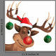 Rudolph Reindeer Winking with