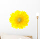 Beautiful Yellow Gerbera Flower