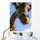 Giraffe Wall Mural