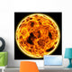 Flaming Sun Wall Mural