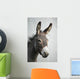 Donkey