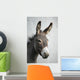 Donkey