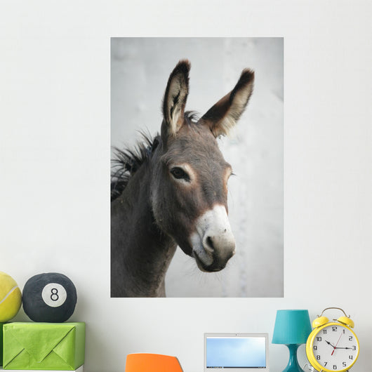 Donkey