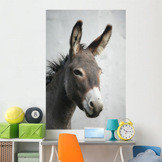 Donkey
