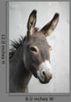 Donkey