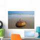 Horseshoe Crab Sand Beach