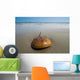 Horseshoe Crab Sand Beach