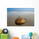 Horseshoe Crab Sand Beach