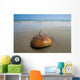 Horseshoe Crab Sand Beach