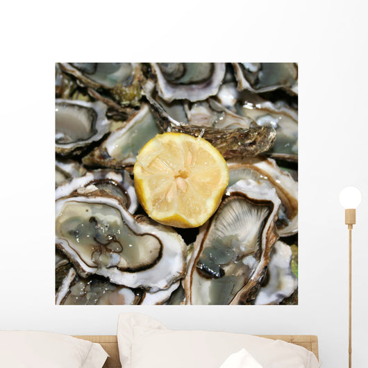 fresh oysters ready to eat Wall Mural