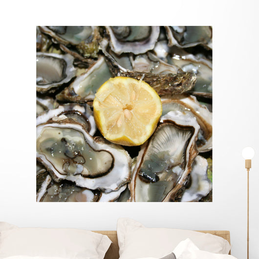 fresh oysters ready to eat Wall Mural