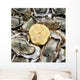 fresh oysters ready to eat Wall Mural