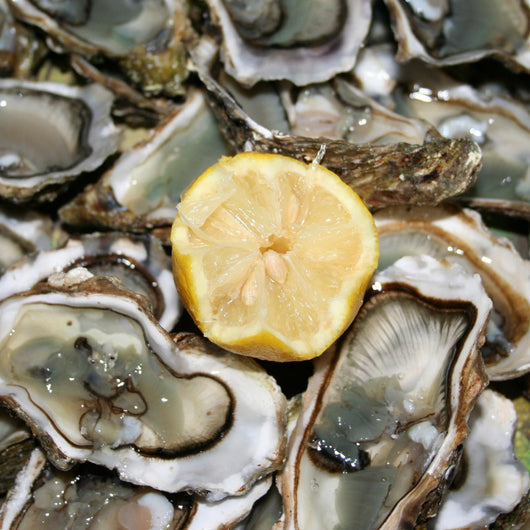 fresh oysters ready to eat Wall Mural