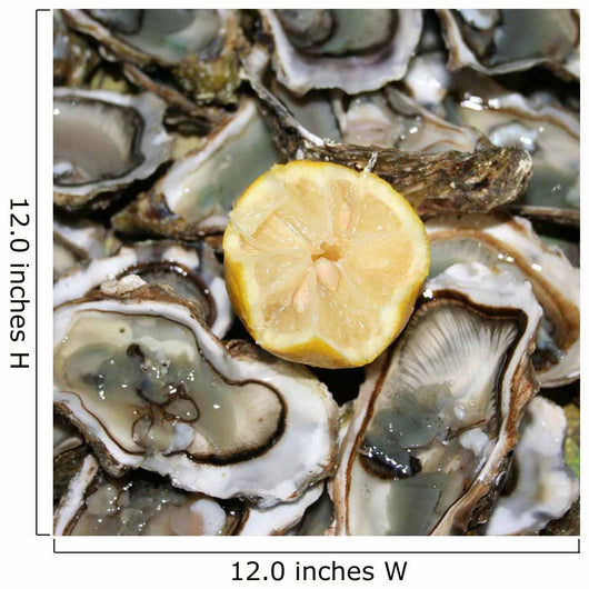 fresh oysters ready to eat Wall Mural