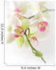 orchidÃ©es Wall Mural