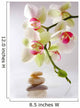 orchidÃ©es et galets ambiance zen Wall Mural