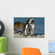 African Penguins Wall Mural