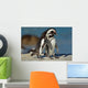 African Penguins Wall Mural