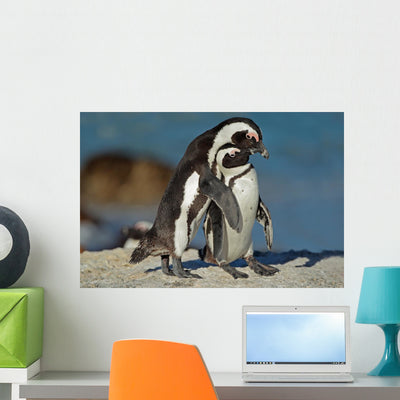 African Penguins Wall Mural shown on a wall