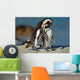 African Penguins Wall Mural