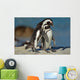 African Penguins Wall Mural