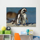 African Penguins Wall Mural