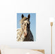 Portrait Appaloosa Horse