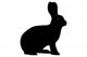 Silhouette Rabbit